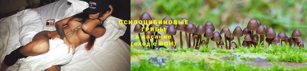 мефедрон Богородицк