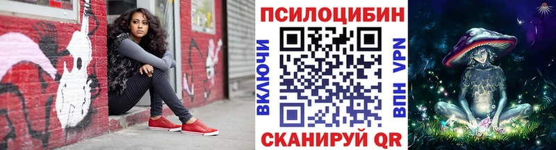 купить  цена  Болхов  Галлюциногенные грибы Magic Shrooms 